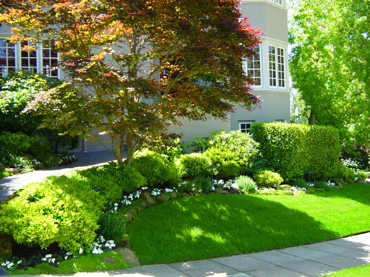 Inviting Front Yard Landscape in Piedmont, Created by Earth Lines Landscape